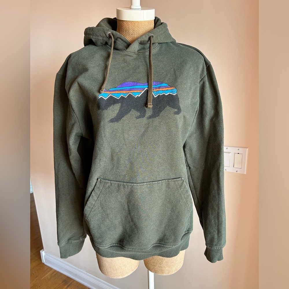 Patagonia Men’s Medium Hoodie Sweatshirt in olive green